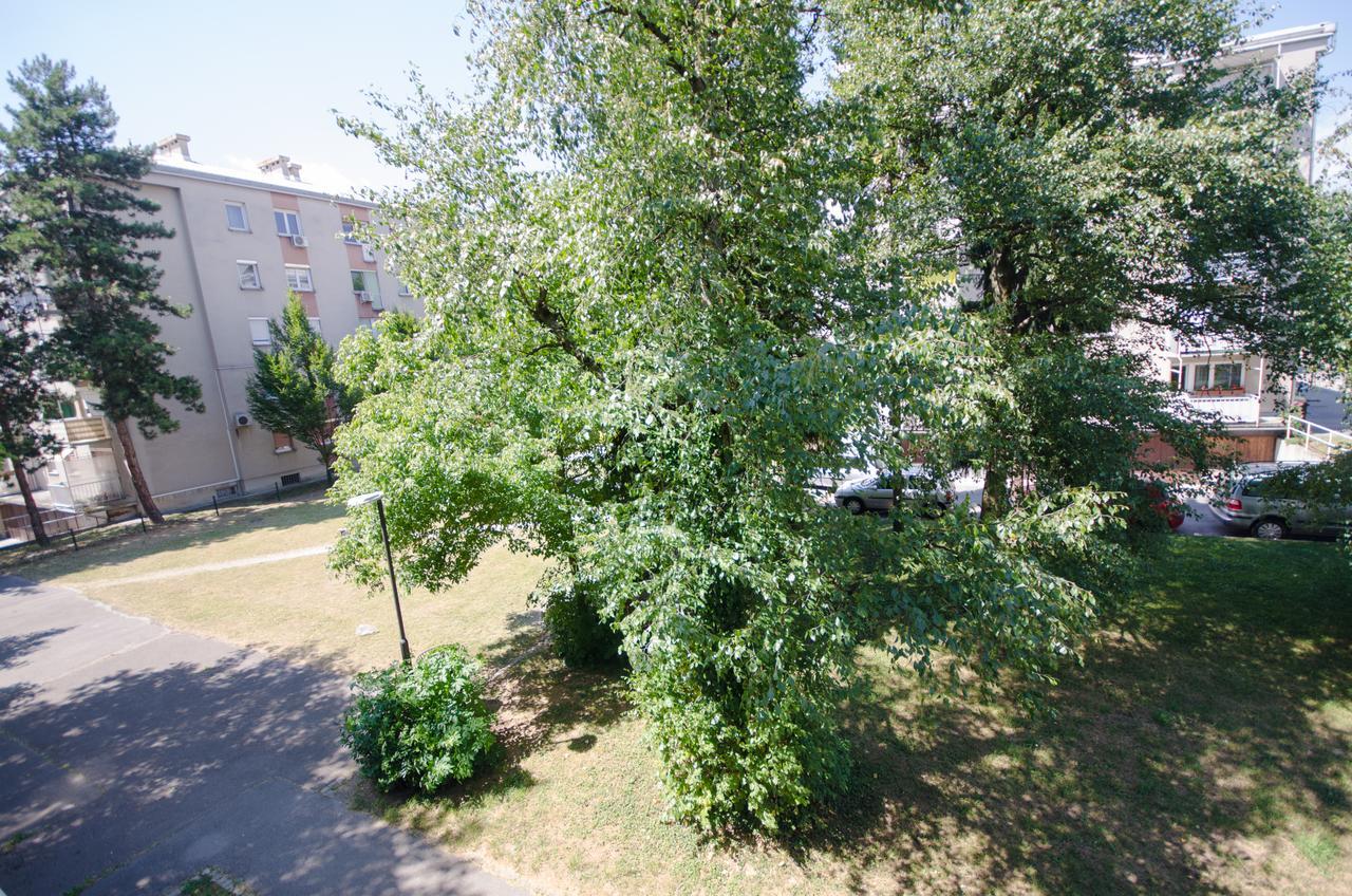 Apartment Near The Train Station Ljubljana Bagian luar foto